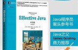 JaponensisJava中文版下载与使用指南：完整解析与实操教程