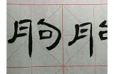 海伦成人练字视频在线观看教程