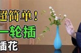 成人插花技巧视频在线观看