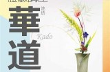日本文化之道：探索与体验