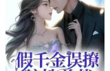 贪财好色的杨先生：免费阅读全文