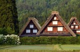探索日本文化：japonensisvedao的深度解析与使用
