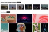 高品质在线免费观看高清视频资源，畅享无广告的观影体验