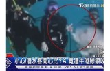 又粗又大又硬又水的免费视频资源