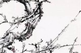 鲁迅先生评价谁画的梅花最出色？