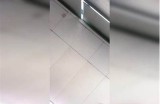 啦啦啦中文免费观看在线，畅享丰富视频内容与精彩娱乐