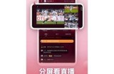香蕉与榴莲的冒险：绿巨人草莓与好色先生的奇妙故事