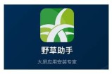 野草免费高清在线视频分享，畅享自然之美与特有魅力