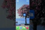 海角社区金币获取攻略：快速赚取金币的实用方法详解