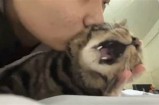 夜猫视频：畅享夜晚精彩短视频，让快乐任何时候相伴