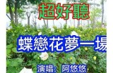蝶恋直播：精彩内容任何时候在线看，尽享直播乐趣