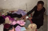 成人夜晚偷东西视频曝光：惊险瞬间全程记录，快来围观！