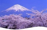 欧洲亚洲日本韩国旅游攻略