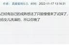 海角社区最佳浏览器推荐