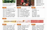 2021海角社区官网版：最新动态与精彩活动一站掌握