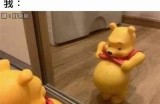 木森先生的好色嘴巴：揭秘背后故事