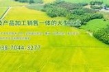 好色先生观看污：探讨影视作品中的情感与道德