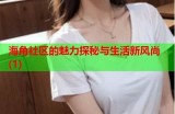 海角社区披风少年：内容分类与调查