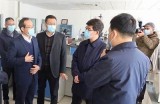 国产美女一区二区在线观看