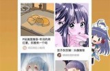 海角社区帖子出售，优质资源等你来选