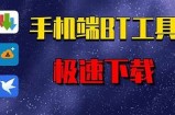 在线BT下载工具：快速、安全的资源获取平台