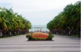 海角平台能被抓吗？揭秘真相