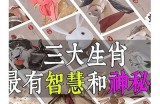 好色先生属什么生肖？答案揭秘！