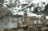 探秘日本文物与历史的无与伦比魅力——日本文化之旅