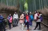 日本文化探索之旅：深入了解日本之道