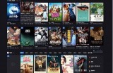 免费中国视频资源大全