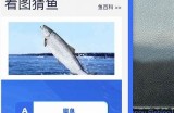 海角网站：探索无限可能的网络平台