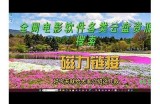彻底解析Yellow资源大全，带你畅游精彩内容与实用信息