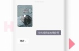 海角社区联系方式查询指南