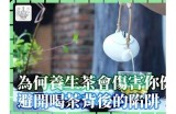 【绿茶直播】畅聊生活与健康，分享真实的茶文化体验！
