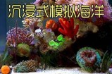 海角平台：探索海洋世界的无限可能与精彩体验