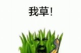草的好爽的网站：体验极致的绿色空间