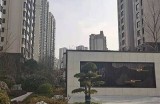 国产精品视频免费在线观看