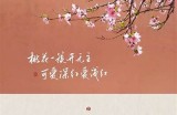 桃花盛开的季节：欣赏春日美景与浪漫意义