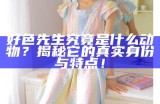 好色先生苹果版APP下载：无论何时随地尽享精彩内容
