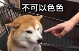 色多多成视频：探索色彩世界的奥秘