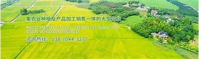 好色先生观看污：探讨影视作品中的情感与道德