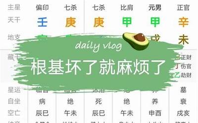 王先生：贪财好色的真实故事与性格解析
