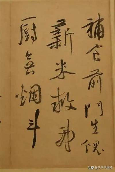 草书成人练字教学视频教程