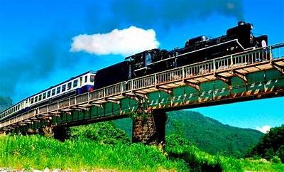 在日本畅游探索：gogogo观看日本的独有魅力与旅游攻略