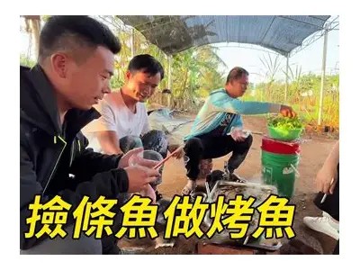 入禽太深免费版视频观看，精彩剧情抢先感受！
