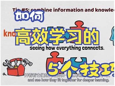 掌握高效学习法：提升学习效率的免费视频教程