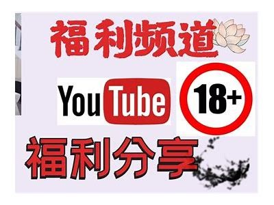 老司机推荐：精品视频合集
