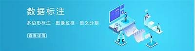 国产精品在线免费观看