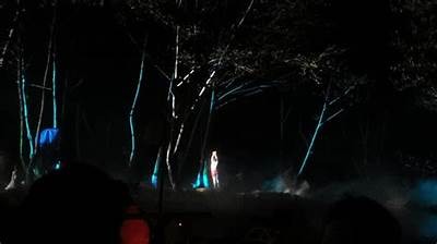 桃花直播：探索桃花源网络直播的魅力与乐趣