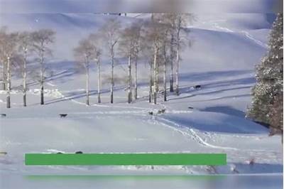 狼群影院手机视频在线播放，尽享精彩影视内容！